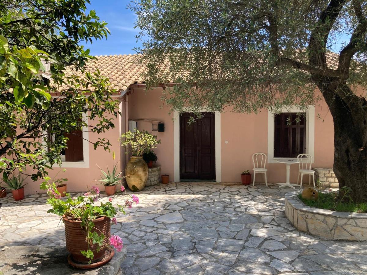 ניסקי Aliki'S Comfortable Holiday Apartments-Great Location מראה חיצוני תמונה