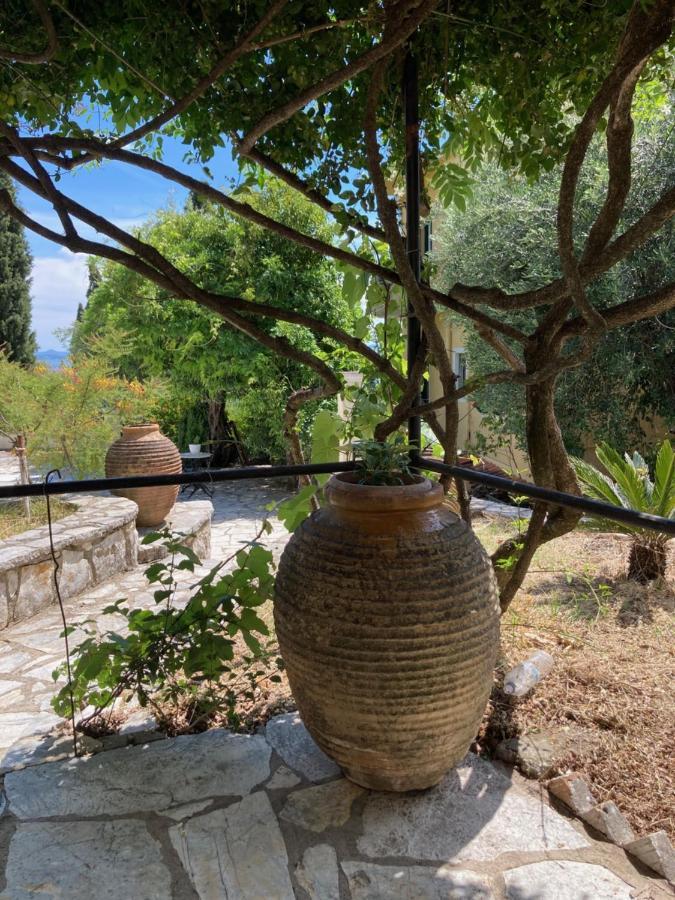 ניסקי Aliki'S Comfortable Holiday Apartments-Great Location מראה חיצוני תמונה