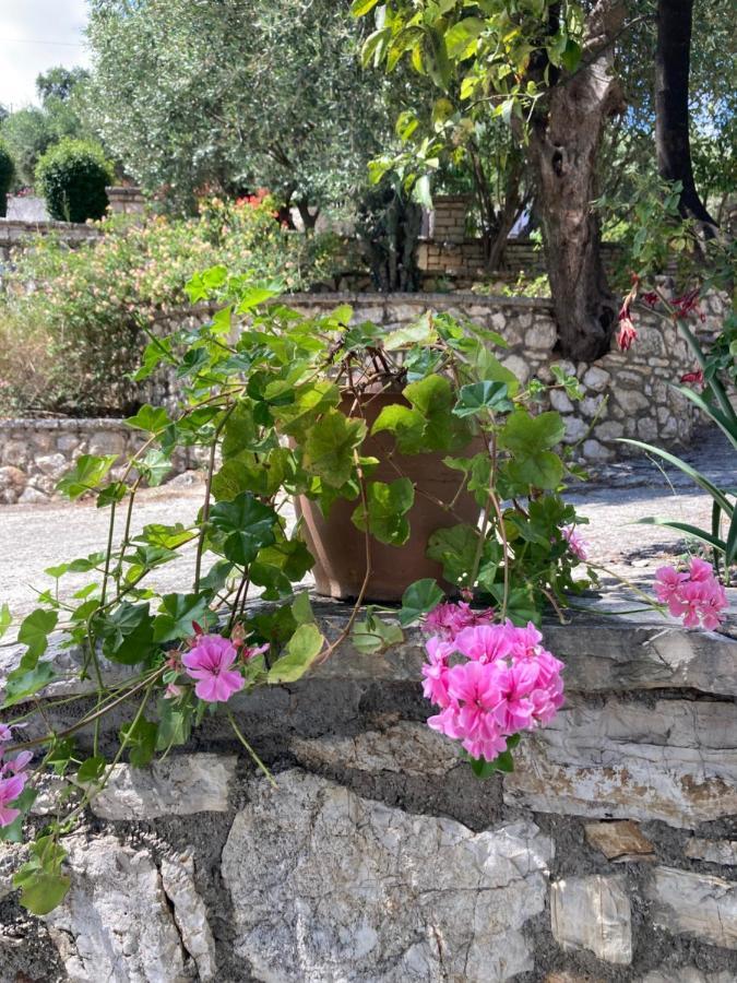 ניסקי Aliki'S Comfortable Holiday Apartments-Great Location מראה חיצוני תמונה