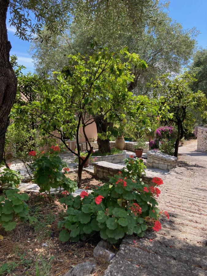 ניסקי Aliki'S Comfortable Holiday Apartments-Great Location מראה חיצוני תמונה