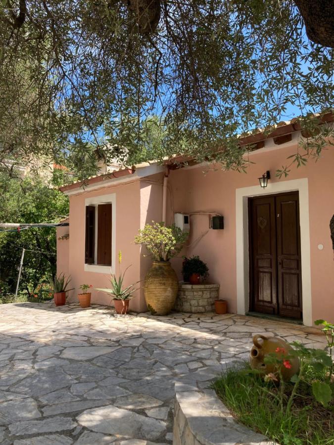 ניסקי Aliki'S Comfortable Holiday Apartments-Great Location מראה חיצוני תמונה