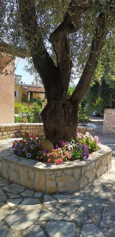 ניסקי Aliki'S Comfortable Holiday Apartments-Great Location מראה חיצוני תמונה